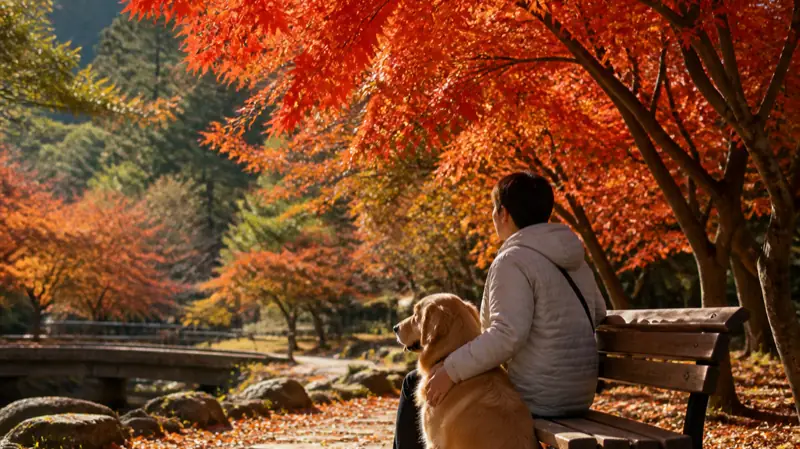紅葉した成田山公園でベンチに座り犬と過ごす人のイメージ
